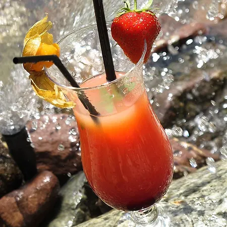 酒店 罗伊斯彭思特酒店